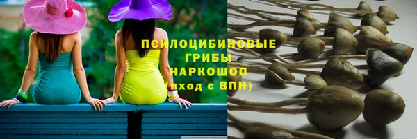 не бодяженный Арсеньев