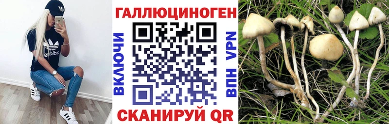 мега зеркало  Дедовск  Галлюциногенные грибы GOLDEN TEACHER 